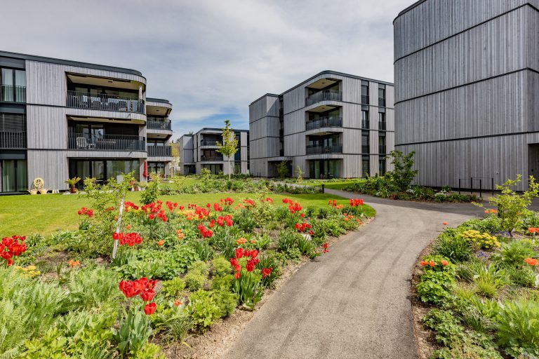 goeldi-ag-gartenbau-gartenunterhalt-alain-jaccard (1)