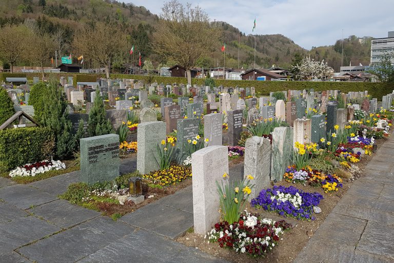 goeldi-ag-gartenbau-gartenunterhalt-friedhof-beat-zuber-referenz (4)