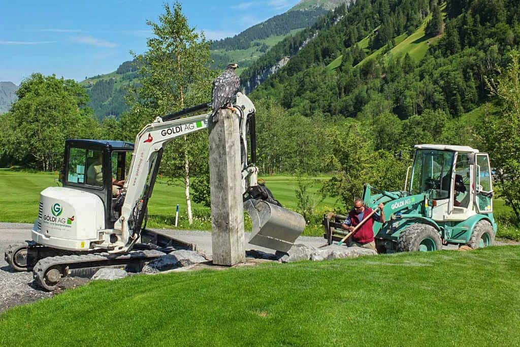 goeldi-ag-gartenbau-sportplatzbau-referenzen-golfpark-engelberg (3)