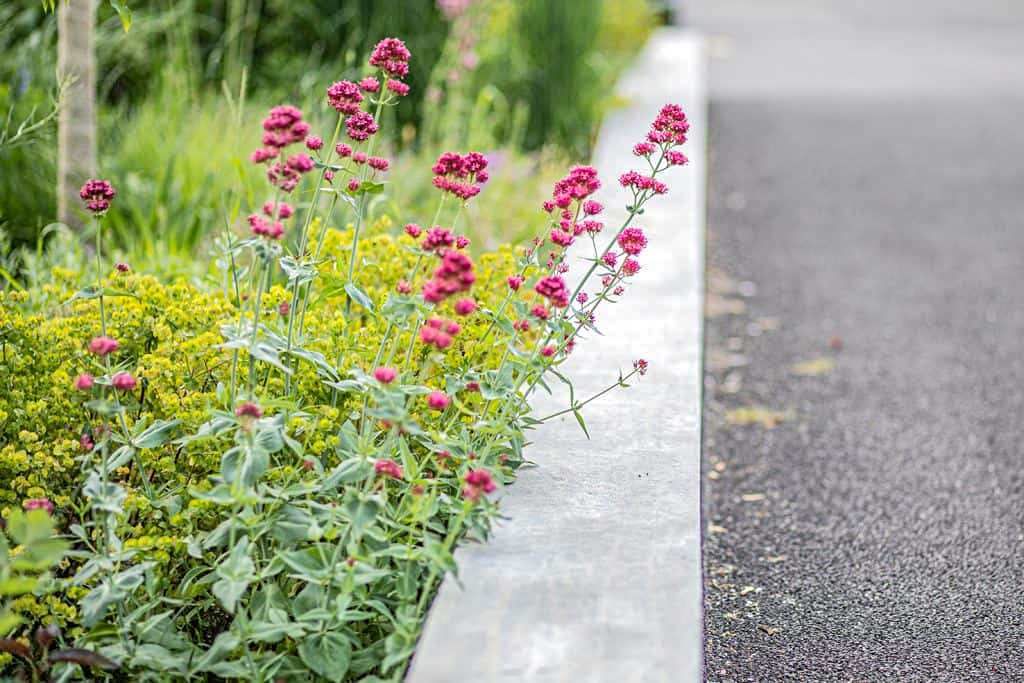 goeldi-ag-gartenbau-sportplatzbau-referenzen-zur-weinlese-winterthur (6)