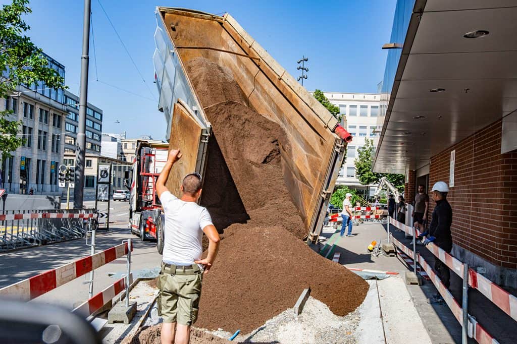 Neuwiesen_Bepflanzung03