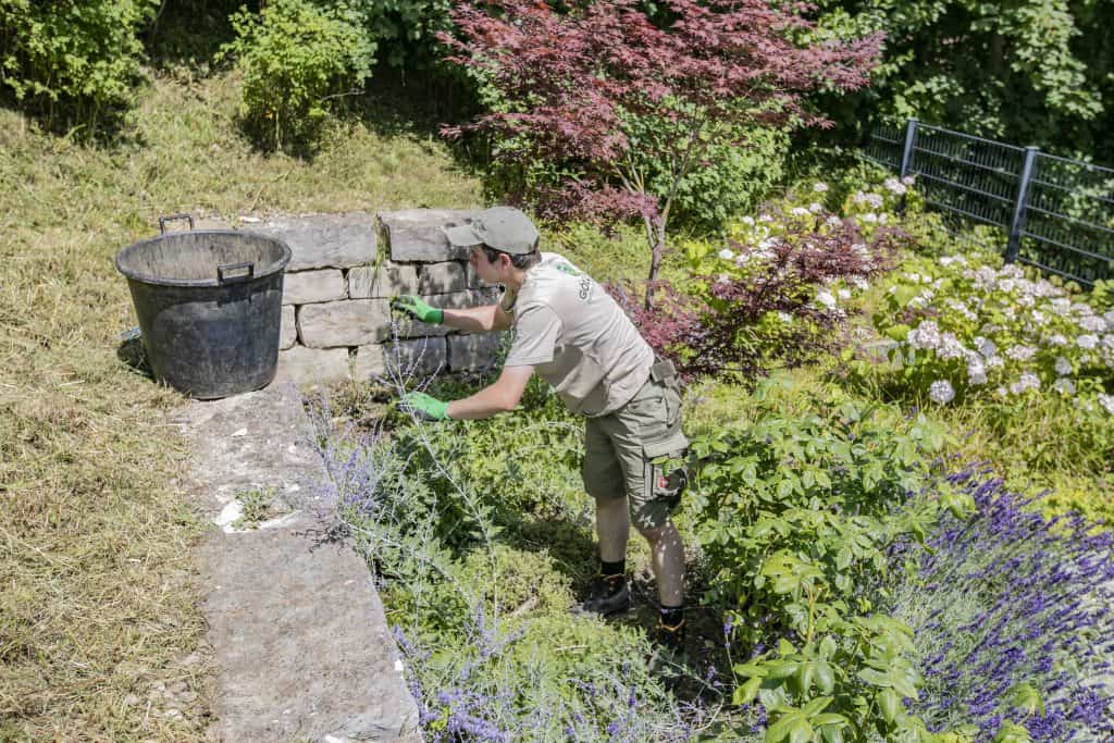 Gartenunterhalt trockensteinmauer