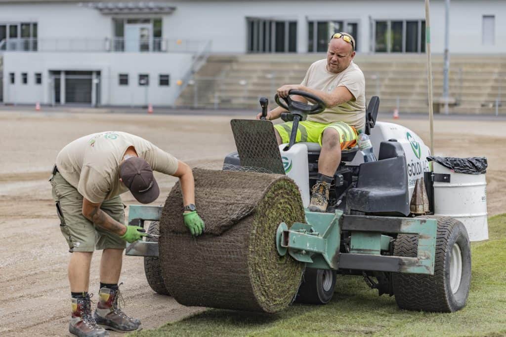 Rollrasen pflegen und verbauen