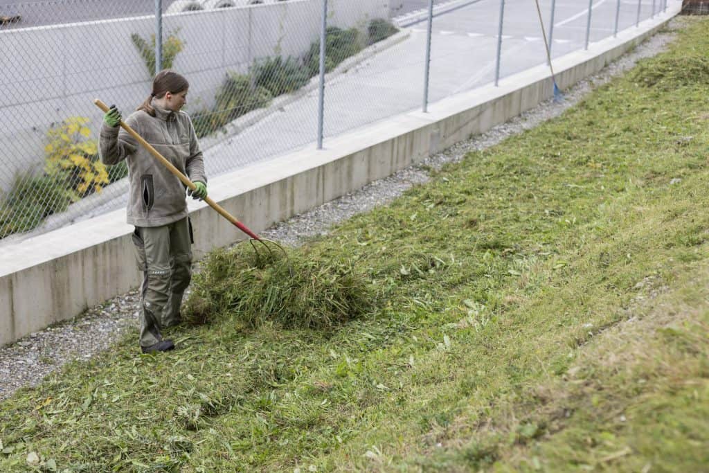 Lernende im Gartenunterhalt