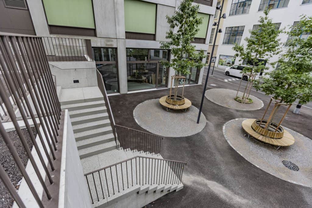 Neuhausen Ost Sandsteintreppen von der Göldi AG